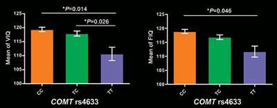 Left Parietal Functional Connectivity Mediates the Association Between COMT rs4633 and Verbal Intelligence in Healthy Adults